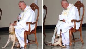Pes během mše vyběhl na oltář a chtěl si hrát. Reakce kněze je nejlepší možná!
